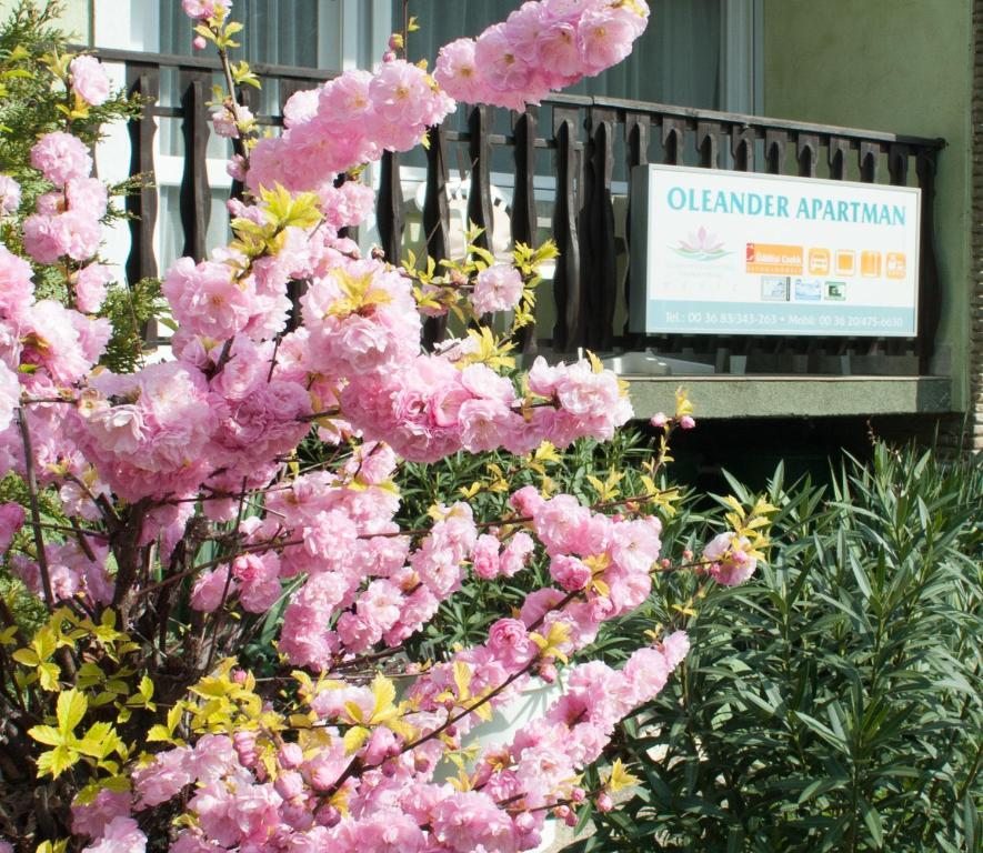 Oleander Apartman Heviz Exterior photo