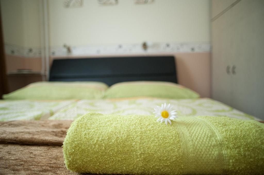 Oleander Apartman Heviz Exterior photo